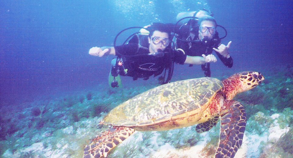 BUCEO CREDENCIAL