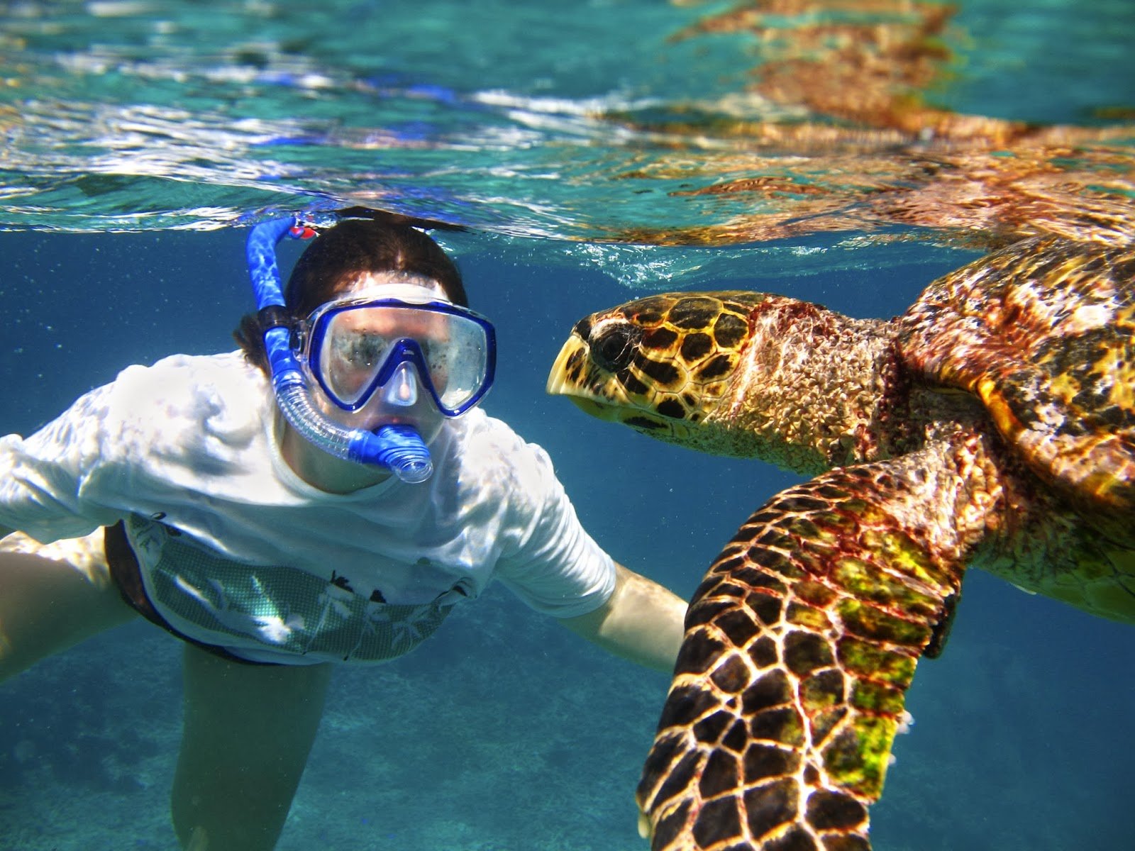 SNORKELING